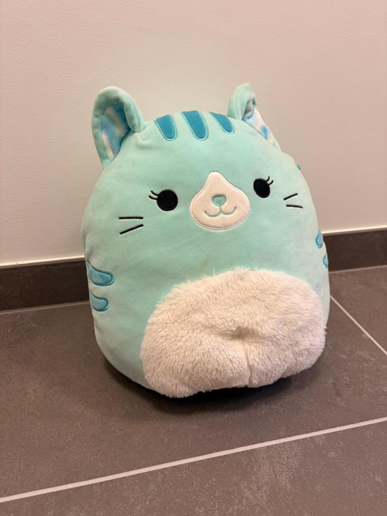 Poes squishmallow origineel 30 cm, Kinderen en Baby's, Speelgoed | Knuffels en Pluche, Ophalen, Squishmallow
