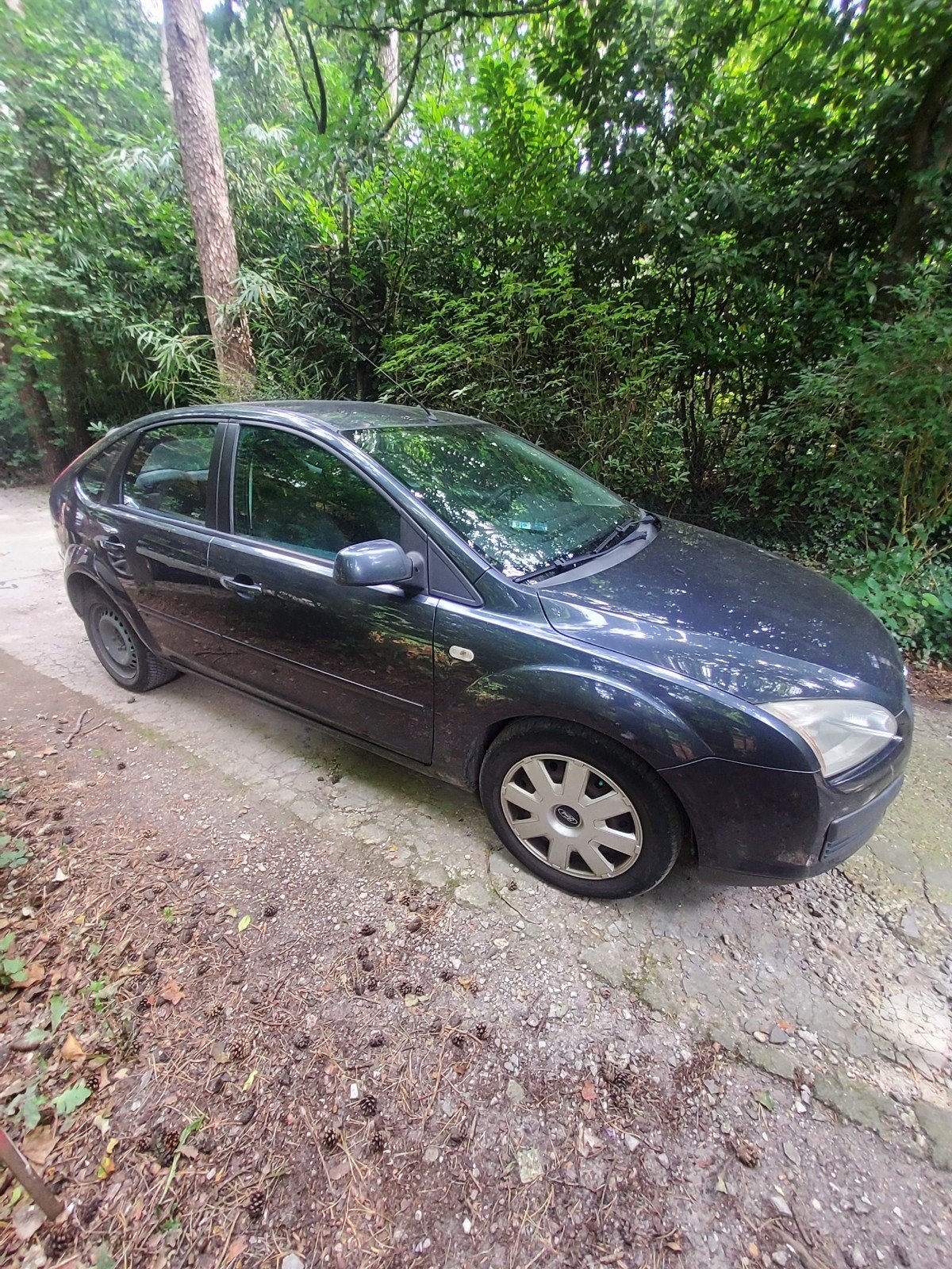 Ford Focus, Focus, Achat, Diesel, Particulier