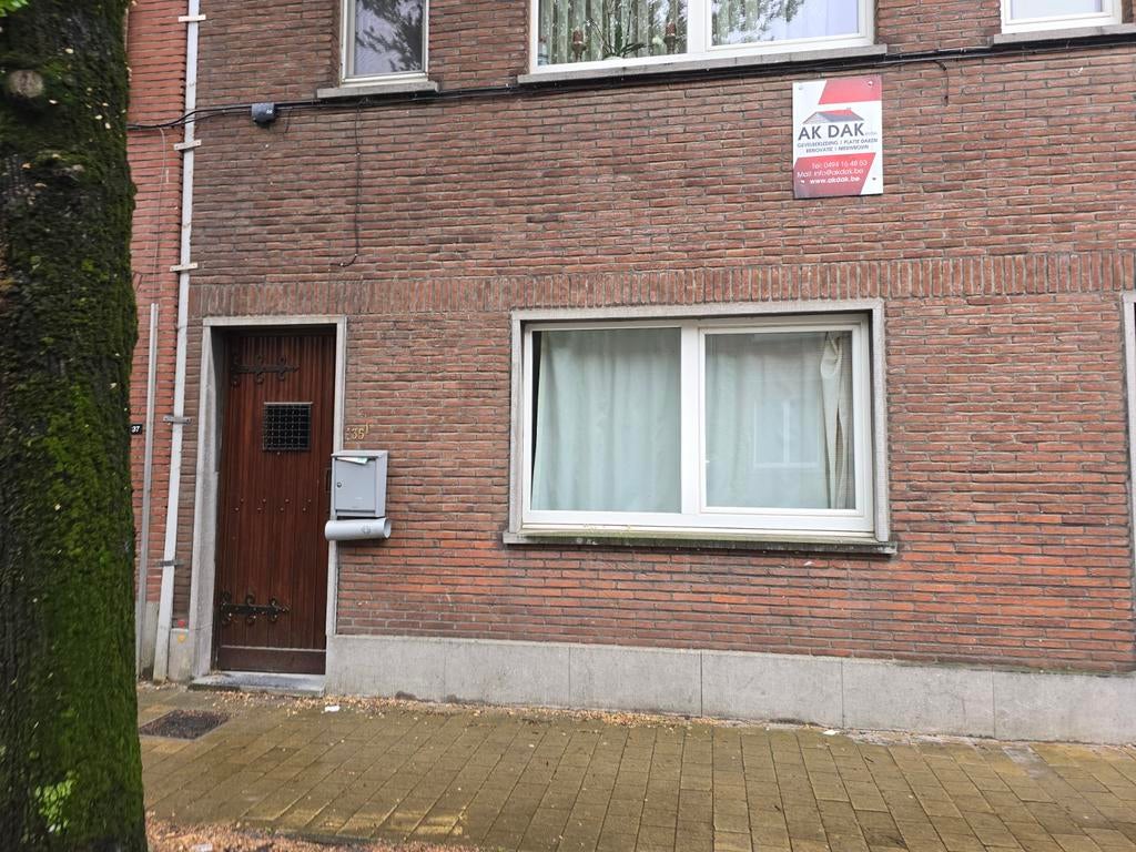 Huis te huur, Hasselt