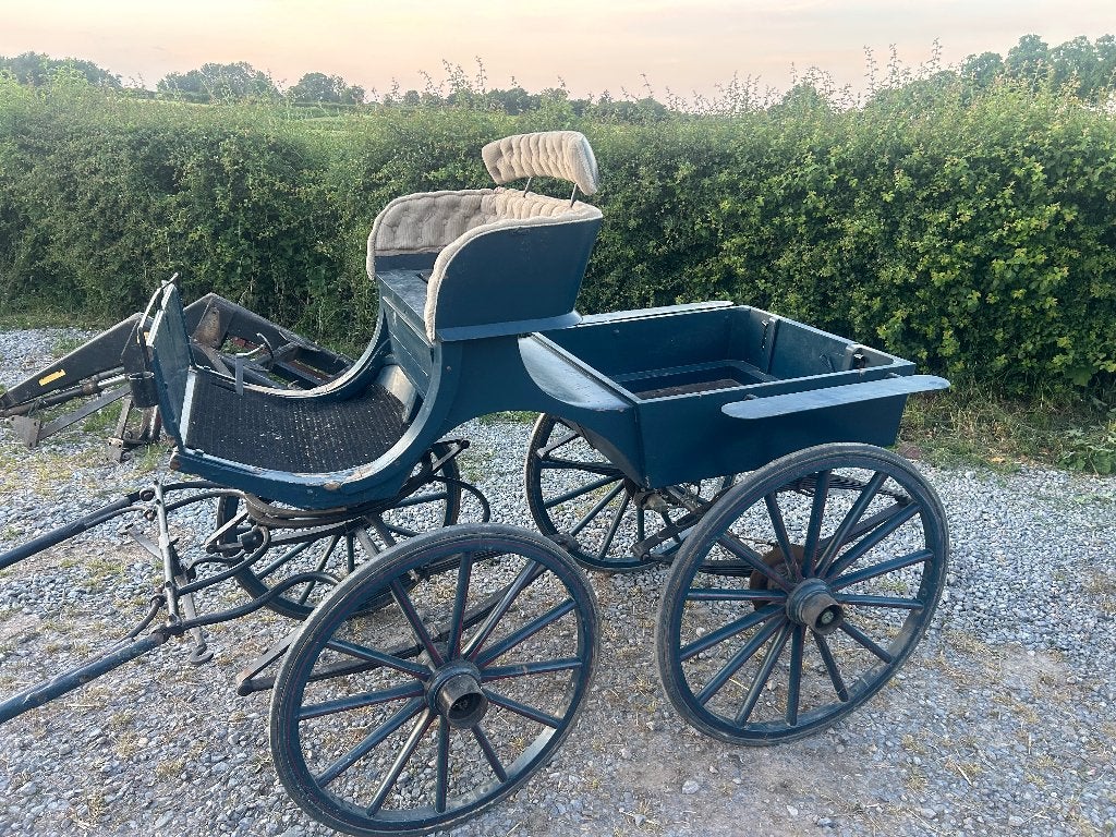 Caleche, Utilisé, Autres types, Cheval