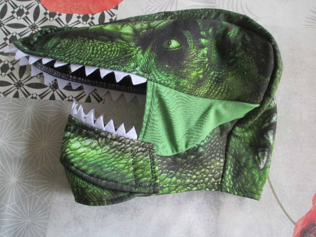 halloween verkleedkledij dinosaurus, Ophalen of Verzenden, Zo goed als nieuw, 104 of kleiner, Jongen of Meisje