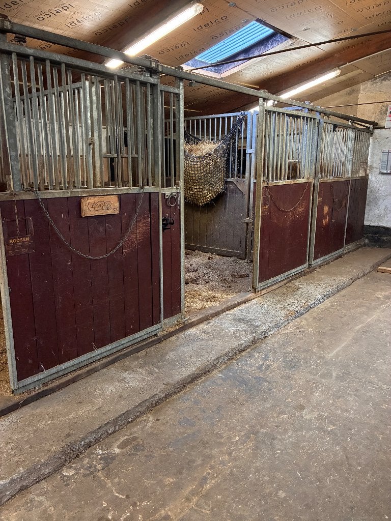 Boxes et écuries pour chevaux, Animaux & Accessoires