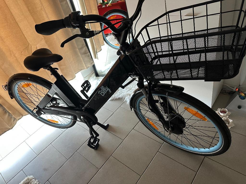 Electrische Fiets zonder mandje, Fietsen en Brommers, 55 tot 59 cm, Ophalen, Gebruikt, 50 km per accu of meer