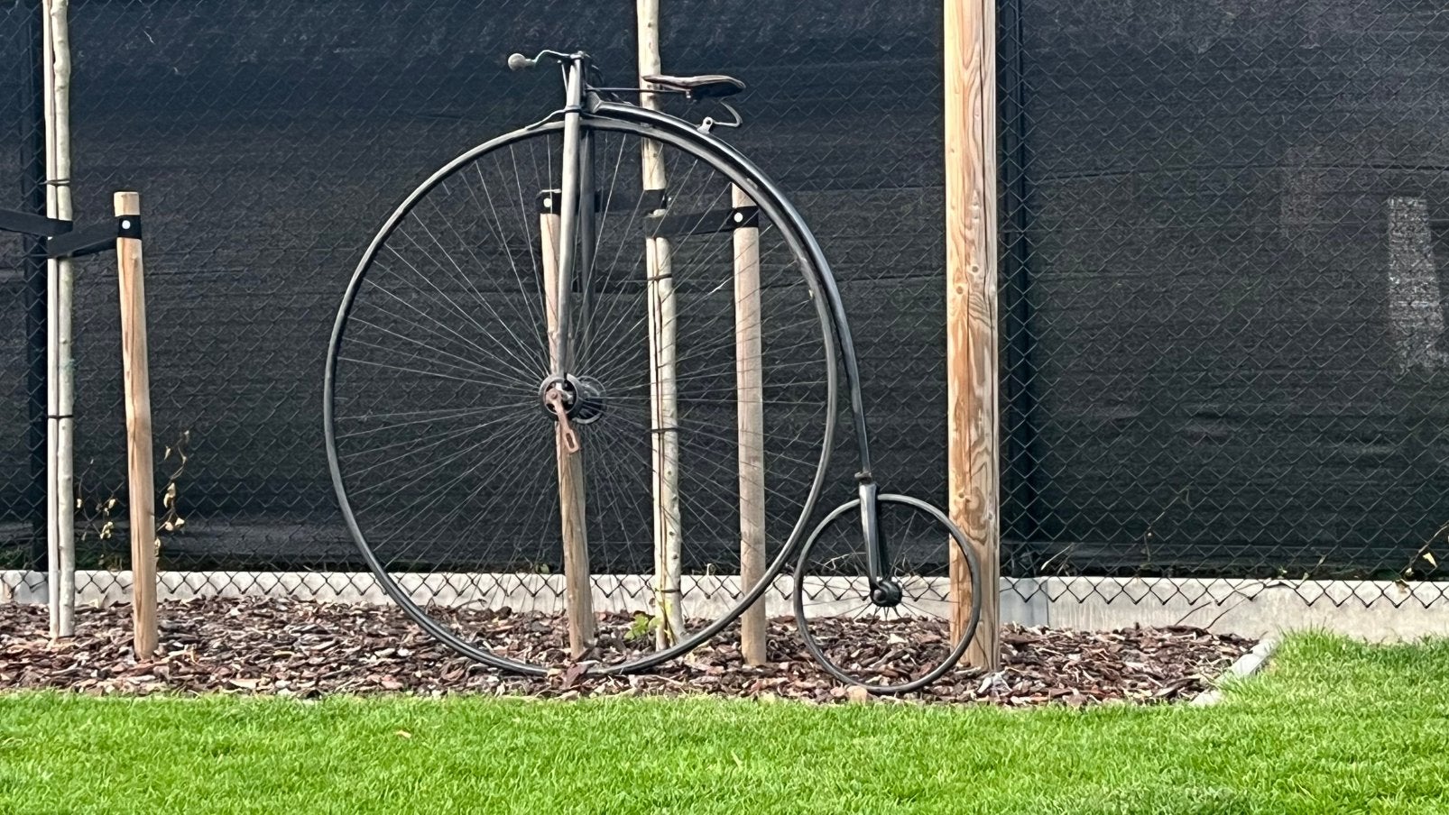 Hoge bi / Grand bi / velocipede / antieke fiets, Enlèvement
