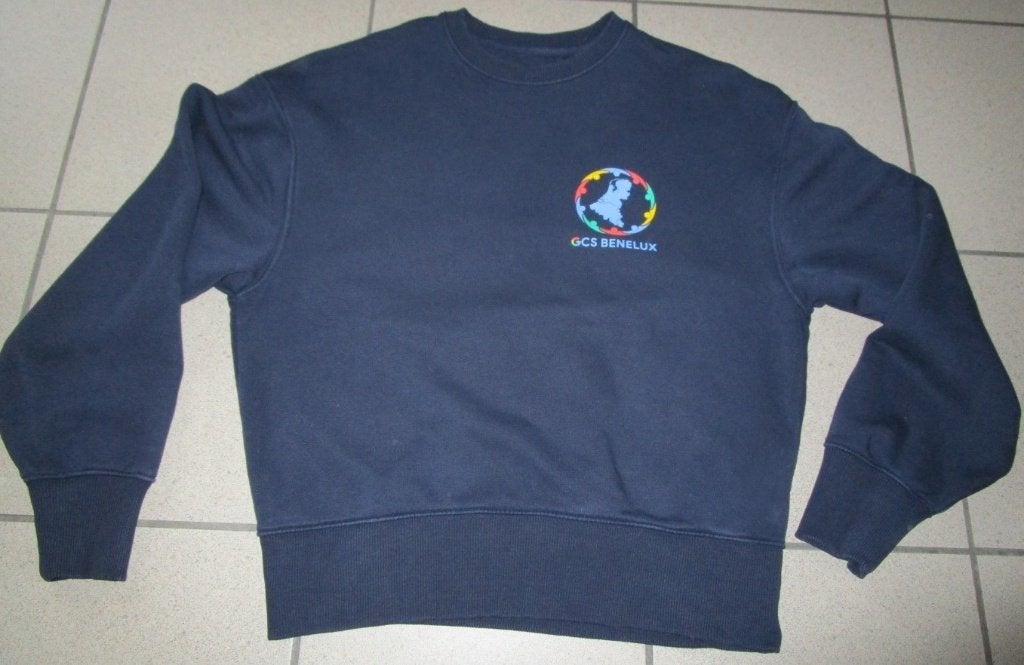 GOOGLE merchandising - pull GCS Benelux taille S, Enlèvement ou Envoi, Google, Bleu, Taille 52/54 (L)