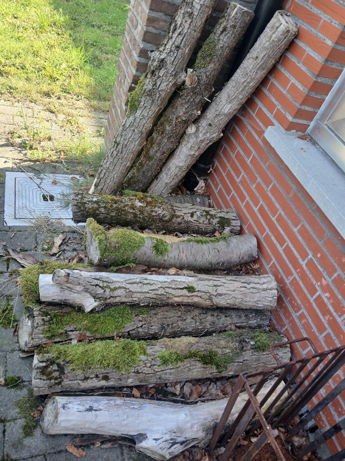 brandhout gratis, Ophalen