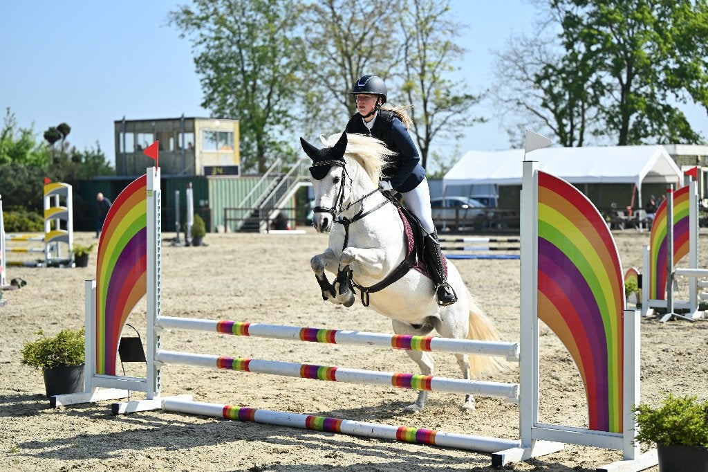 Allround sportpony te koop, Poney C (1.27 m à 1.37m), Avec puce électronique, 11 ans ou plus, Hongre