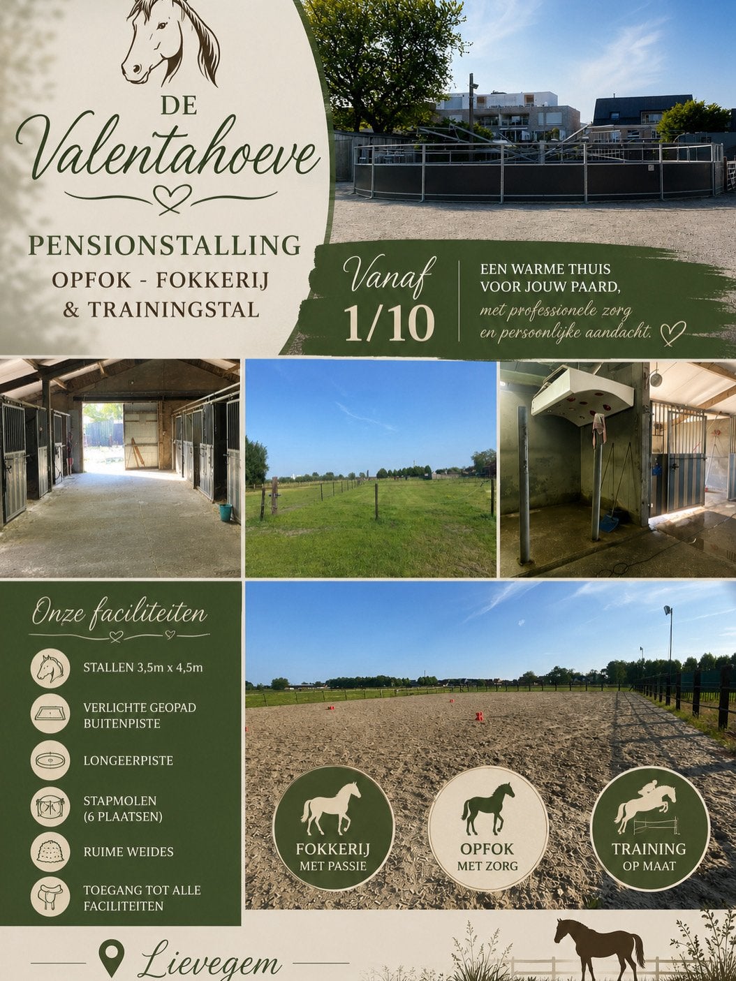 Pensionstalling te Lievegem/waarschoot, Animaux & Accessoires, Box & Pâturages, Pâturage