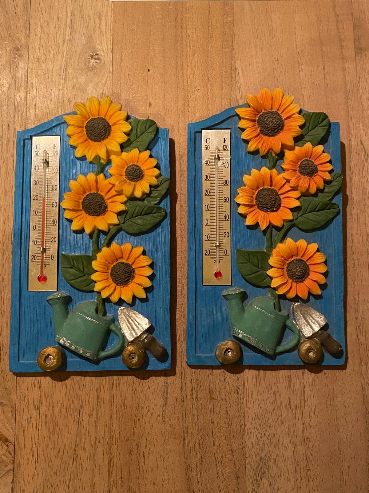 2 thermometers om op te hangen, Maison & Meubles, Accessoires pour la Maison | Thermomètres, Enlèvement, Comme neuf