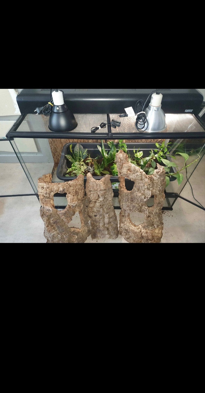 Terrarium Exo Terra 
Terrarium Exo Terra 90x45x60 complet éc, Ophalen, Nieuw, Terrarium of Paludarium