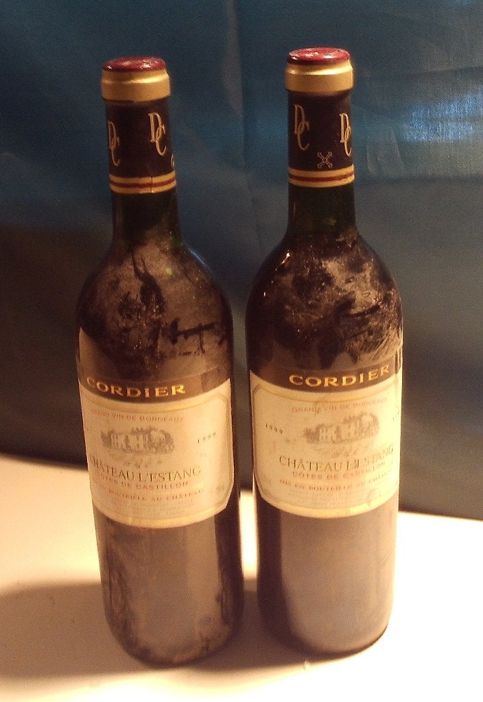 2 bouteilles de Chateau de l'Estang  Cotes de Castillon 1999, Collections, Vins, Enlèvement ou Envoi, Pleine, Comme neuf, Vin rouge