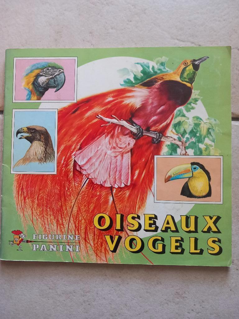 Panini Vogels, Boeken, Prentenboeken en Plaatjesalbums, Ophalen of Verzenden, Gelezen, Plaatjesalbum