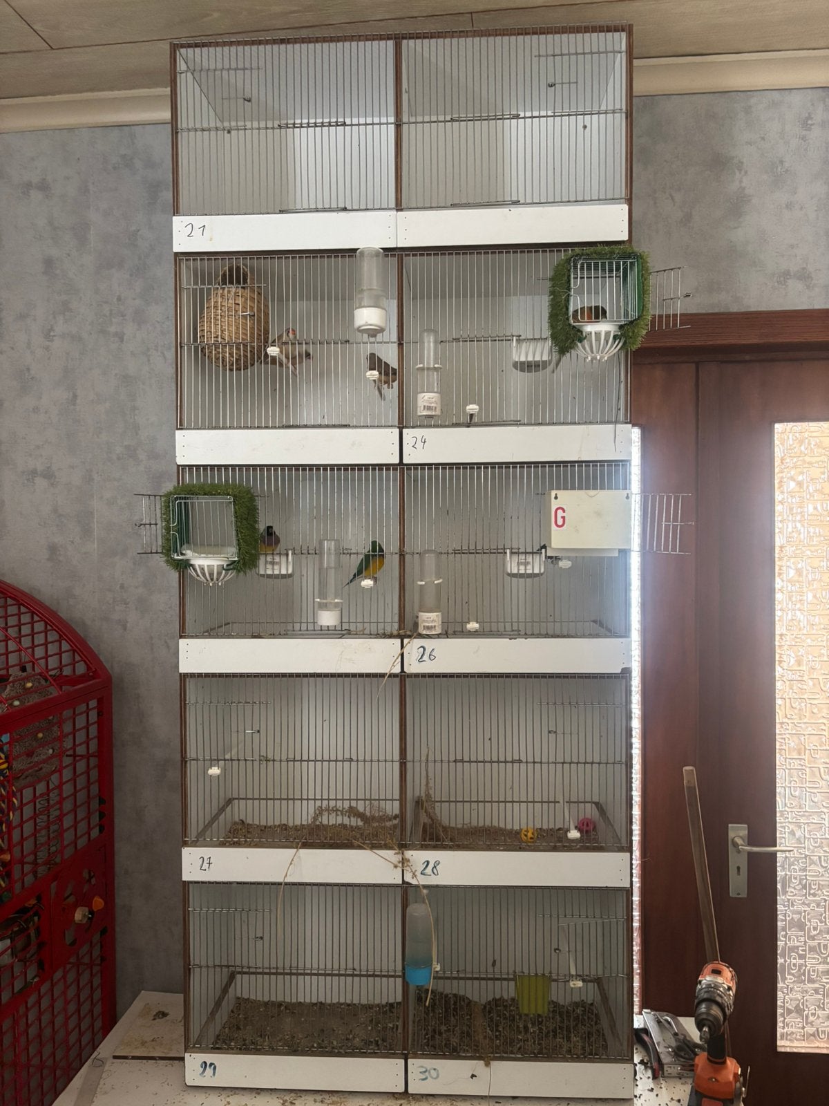 Kweekbakken en exoten €120!, Ophalen of Verzenden, Gebruikt, Hout, Broedkooi of Kweekkooi