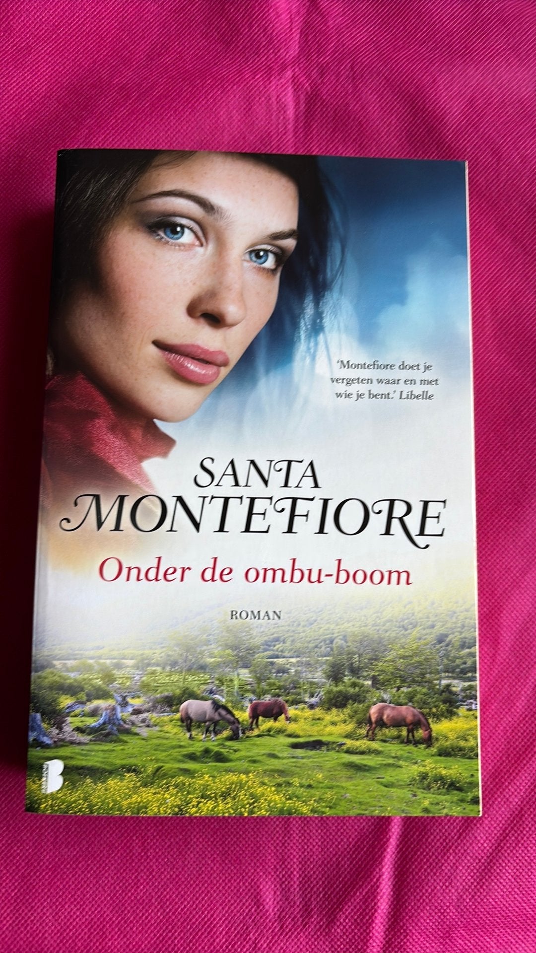 Santa Montefiore - Onder de ombuboom, Boeken, Nieuw, Ophalen of Verzenden, Santa Montefiore, Nederland