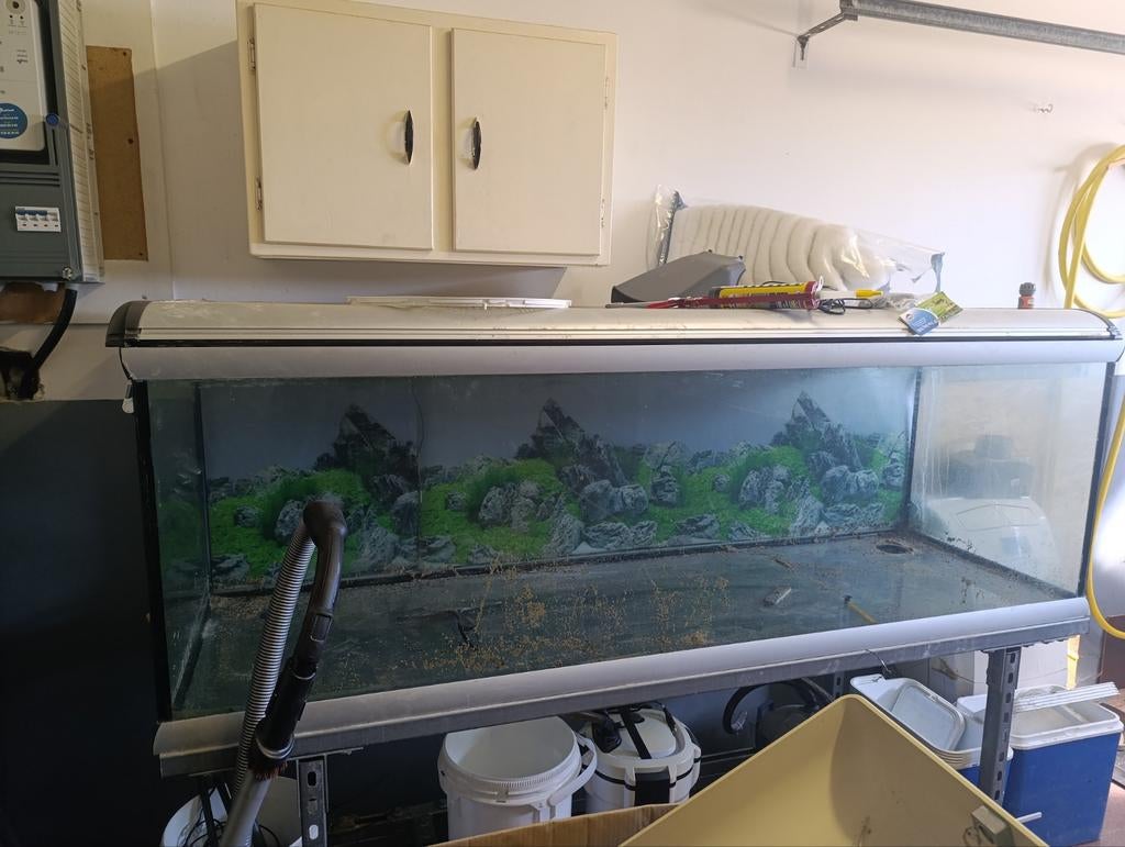 Aquarium 200 cmx60 cm, 65cm hoog,900liter met twee filters., Dieren en Toebehoren, Ophalen, Zo goed als nieuw, Leeg aquarium