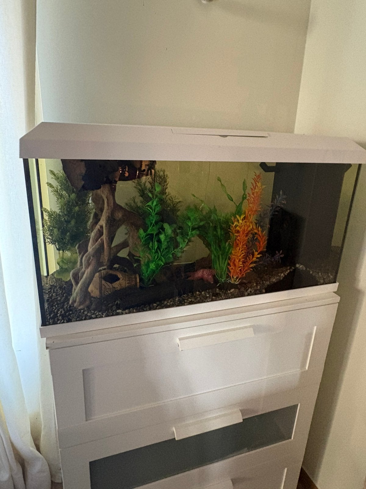 JUWEL Aquarium te koop (axalotl kan erbij gekocht worden), Animaux & Accessoires, Enlèvement, Comme neuf, Juwel