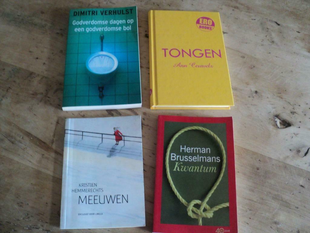 schrijvers van eigen bodem, Boeken, Ophalen of Verzenden, Zo goed als nieuw