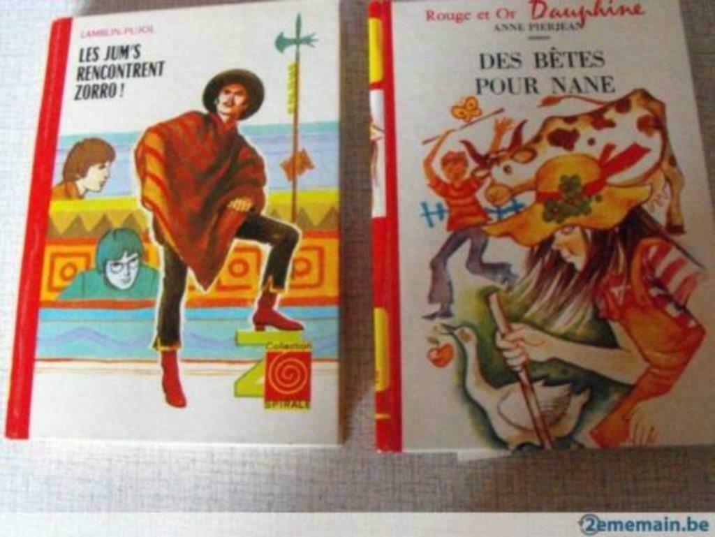 Livres Des bêtes pour Nane - Les Jum's rencontrent Zorro, Livres, Enlèvement ou Envoi