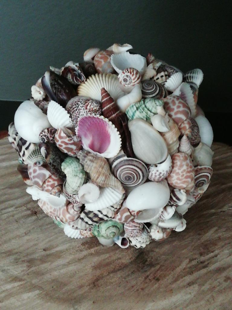 Sphère coquillage - décoration maritime, Enlèvement, Coquillage(s)