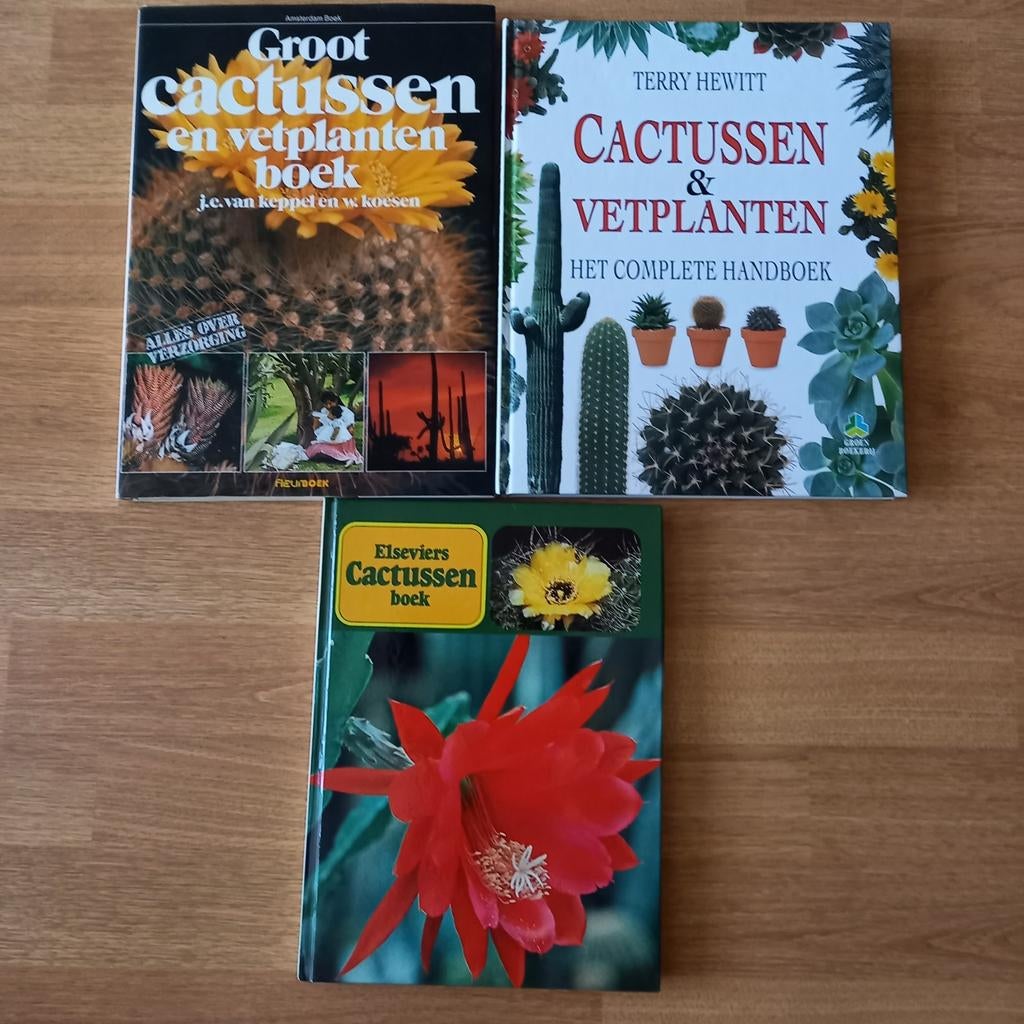 MOOIE CACTUSSENBOEKEN, Ophalen of Verzenden