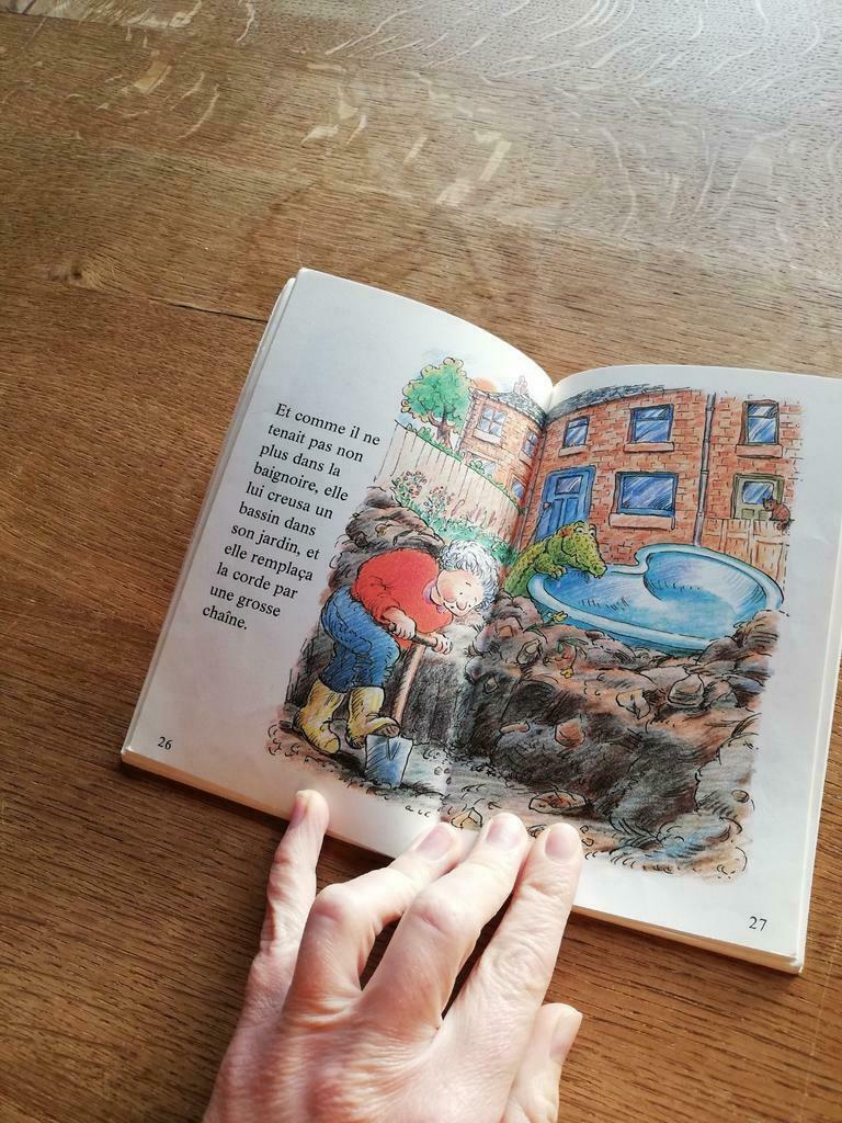 Livre "Un amour de crocodile", Enlèvement ou Envoi, Fiction général, Utilisé, Franck Rodgers