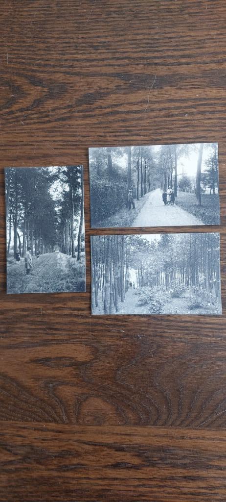 Assebroek postkaarten, Verzamelen, Ophalen of Verzenden, 1920 tot 1940, Ongelopen, West-Vlaanderen