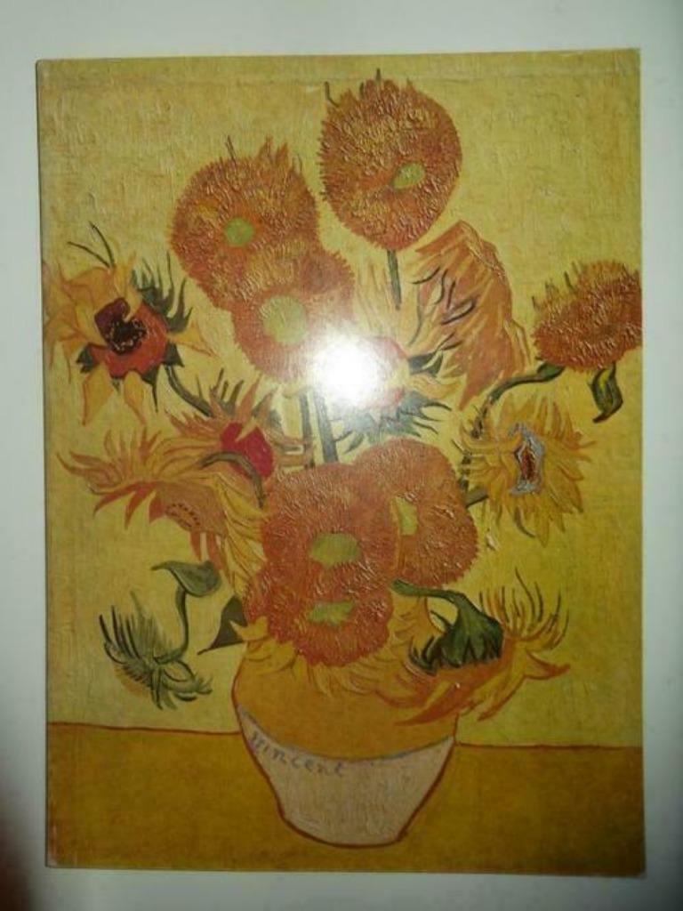 Vincent Van Gogh. Schilderijen - aquarellen - tekeningen, Ophalen of Verzenden, Nieuw, Schilder- en Tekenkunst