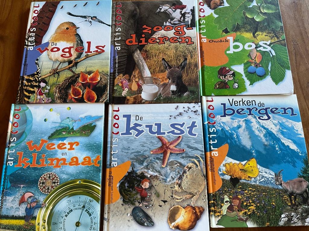 Artiscool, Livres, Enlèvement, Comme neuf