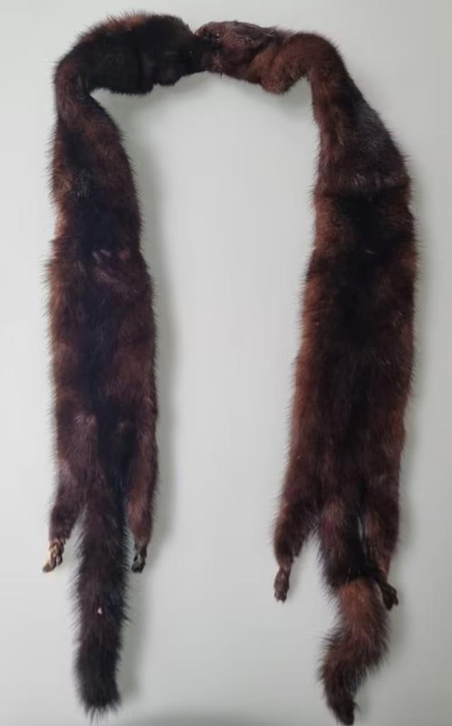 Magnifique Étole écharpe en fourrure VISON vintage, Vêtements | Femmes, Bonnets, Écharpes & Gants, Enlèvement ou Envoi, Porté