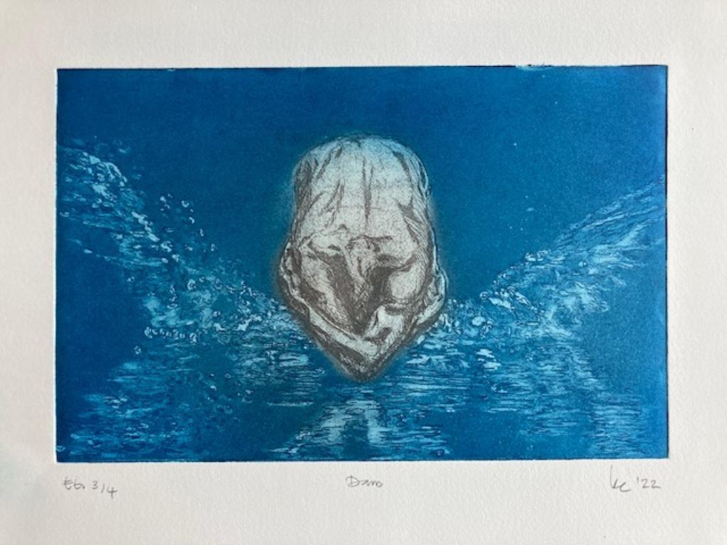 ets kleur 40 / 25 cm, Antiek en Kunst, Kunst | Etsen en Gravures, Ophalen of Verzenden