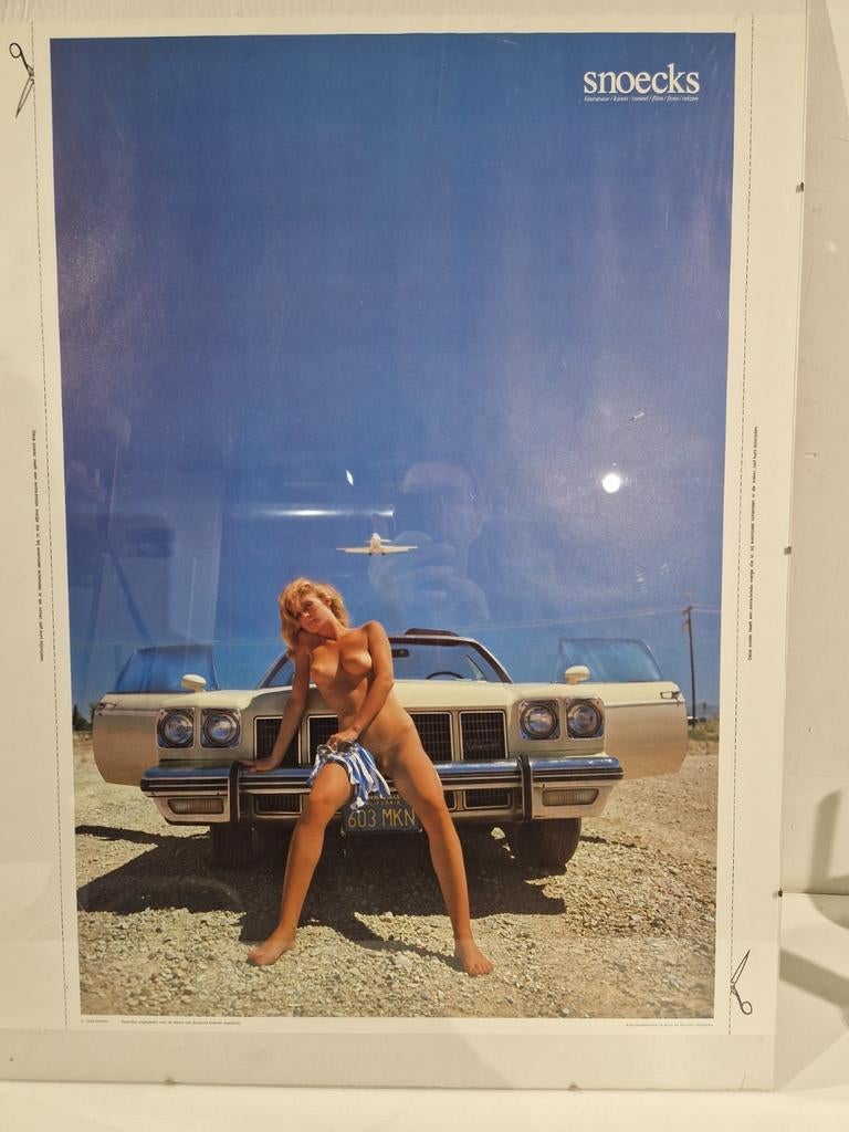 Snoecks 80 x 60 cm groot in kader , auto , vliegtuig , vrouw, Ophalen of Verzenden