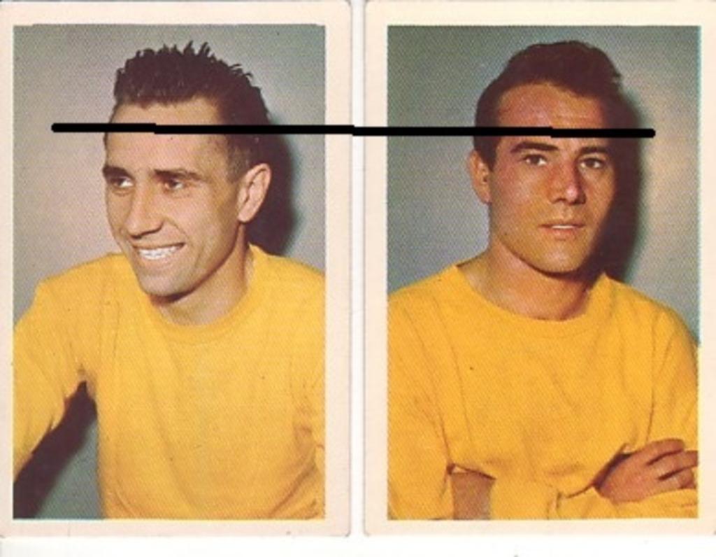 Feuille d'érable - STVV, Envoi, Utilisé, Affiche, Image ou Autocollant
