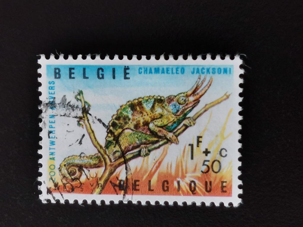 Belgique 1965 - reptiles - caméléon - Zoo d'Anvers, Timbres & Monnaies, Enlèvement ou Envoi, Affranchi, Animal et Nature