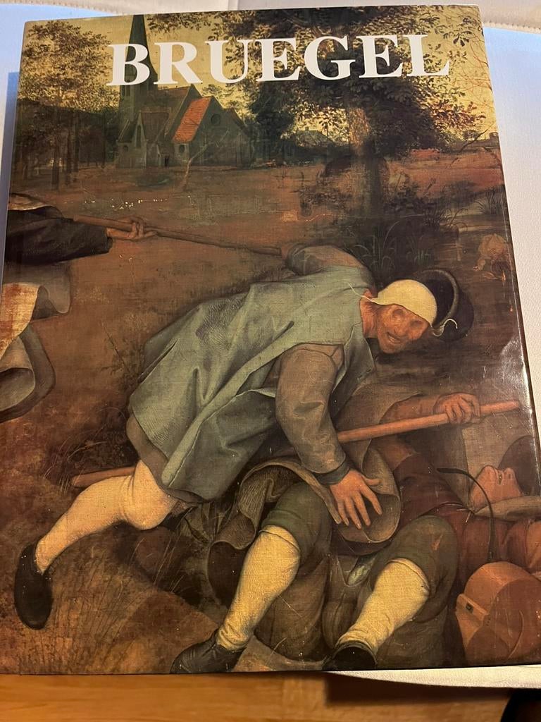 Bruegel kunst boek- Marijnissen, Antiek en Kunst, Ophalen