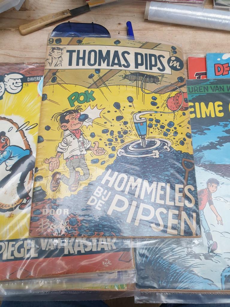 Thomas pips 9 hommeles bij de pipsen BUTH, Boeken, Stripverhalen, Eén stripboek, Ophalen of Verzenden, Gelezen, Buth