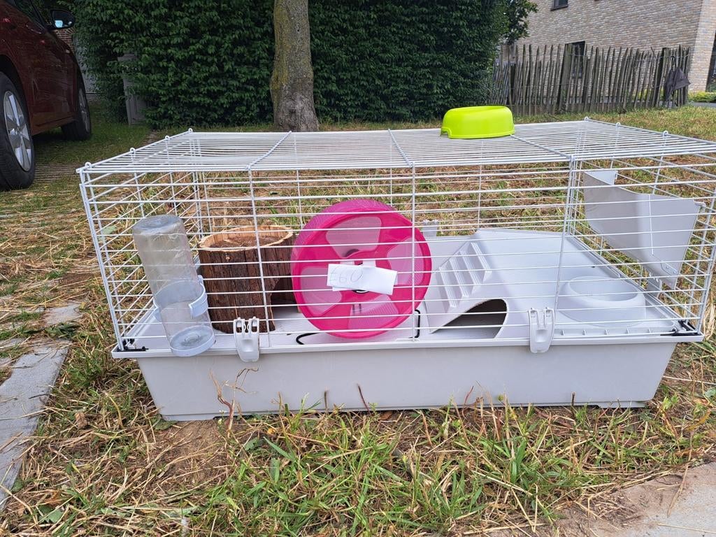 Cavia-kooi met toebehoren, Dieren en Toebehoren, Cavia