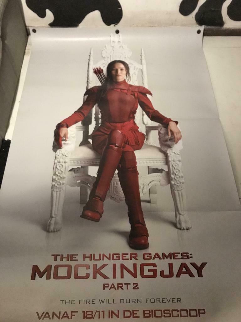 The hunger games Film-affiche, Enlèvement, Utilisé