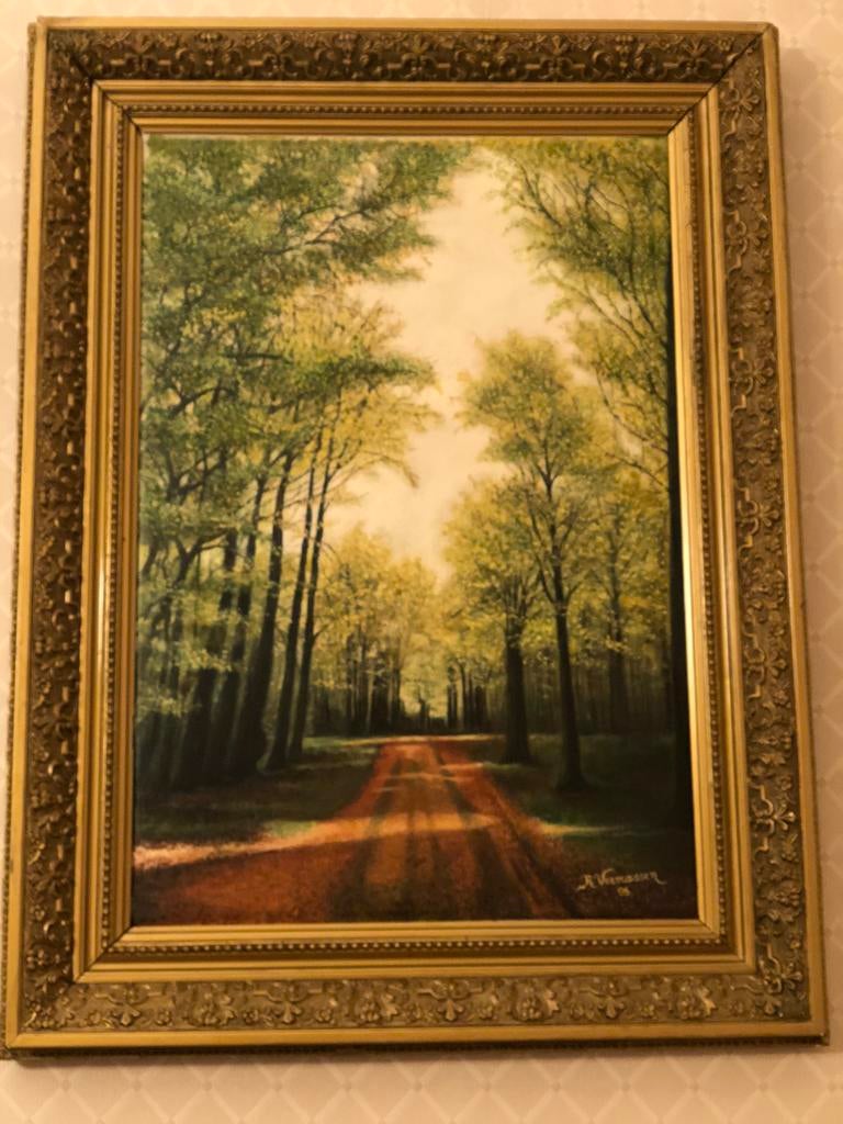 Tableau huile sur toile foret de Soignes, Antiquités & Art, Art | Peinture | Classique, Enlèvement ou Envoi