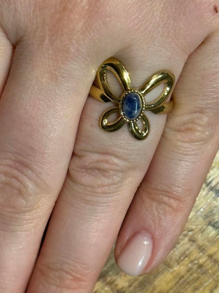 Nieuwe verstelbare RVS ring, Bijoux, Sacs & Beauté, Bagues, Neuf, Enlèvement ou Envoi, Fer ou Acier, Or
