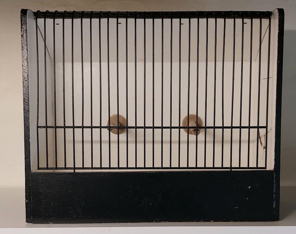 Cage d'exposition pour oiseaux, Animaux & Accessoires, Enlèvement