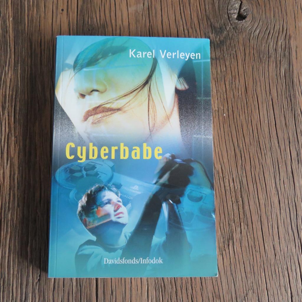 Cyberbabe Karel Verleyen, Boeken, Ophalen of Verzenden