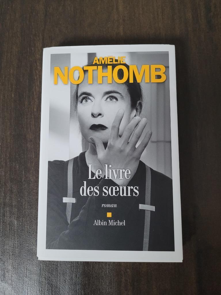 Livre de amélie Nothomb: le livre des sœurs 2022, Ophalen, België, Zo goed als nieuw, Amélie Nothomb
