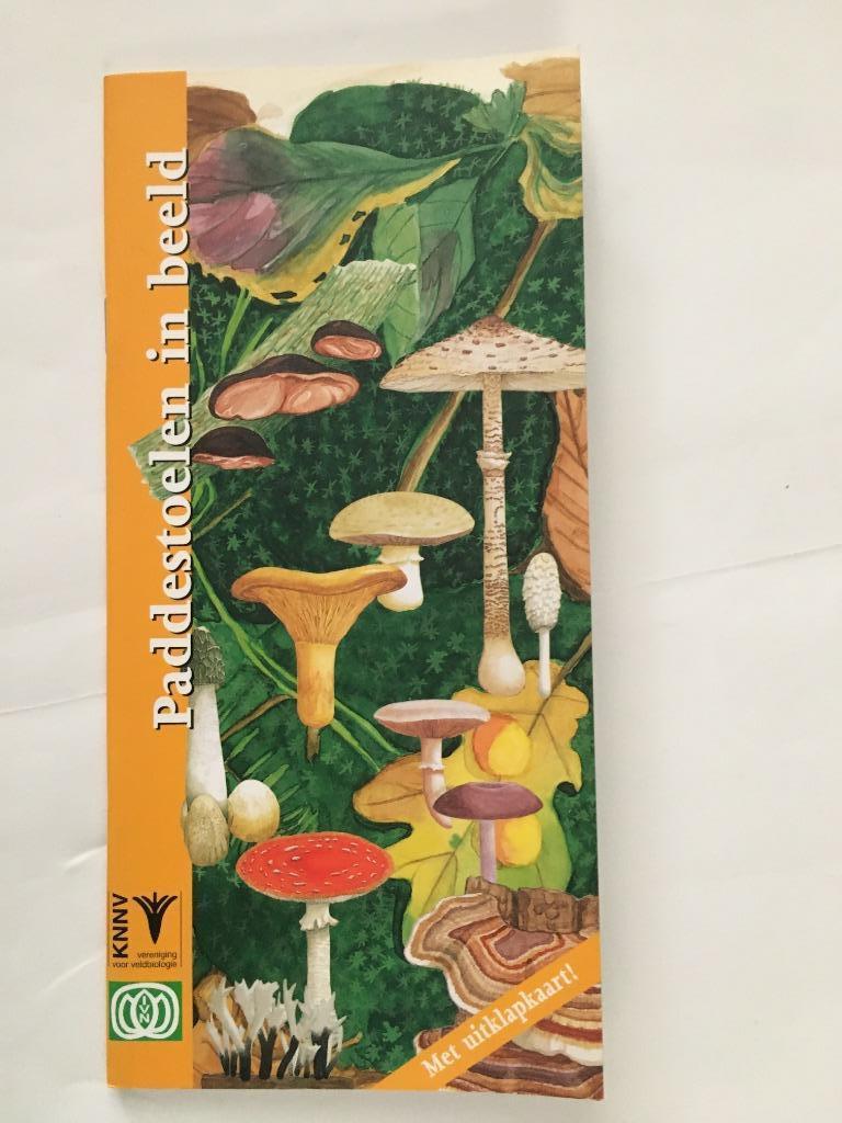 Paddestoelen in beeld, Ophalen of Verzenden, Nieuw