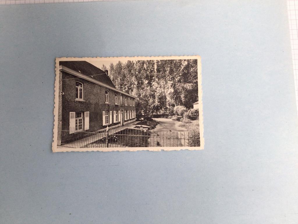 Borsbeke villa Steppe., Verzamelen, Postkaarten | België, Ophalen of Verzenden