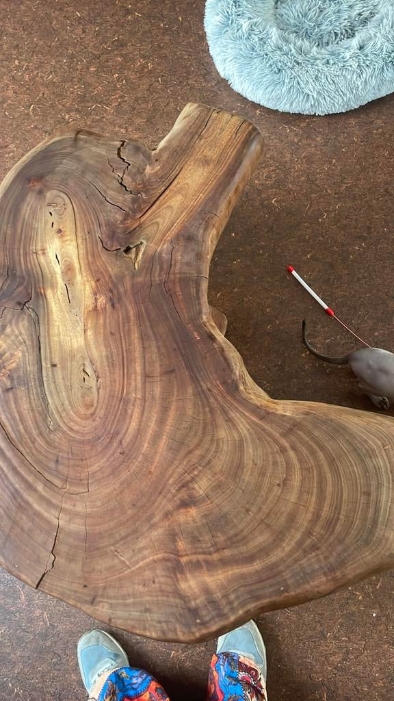 Massief houten salon tafel of bijzettafel echte boom stam, Huis en Inrichting, Tafels | Bijzettafels, Ophalen, Hout