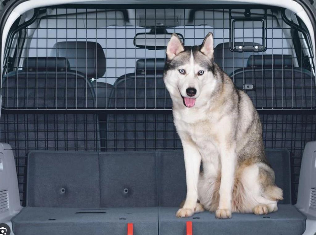 Grille de protection pour coffre : bagages, chien ... SUV, Enlèvement, Utilisé