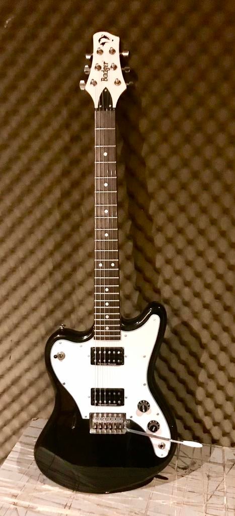 The black badger guitar, Utilisé