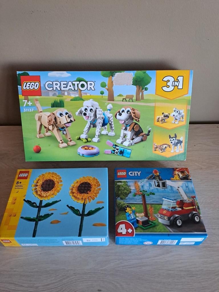 Lego Creator 31137 City 60212 Flowers 40524 new, Enlèvement, Neuf, Lego