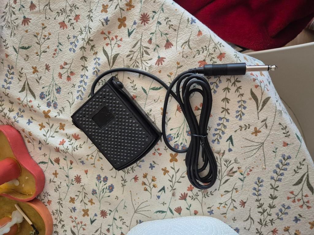 Pedaal voor keyboard of andere, Muziek en Instrumenten, Ophalen, Zo goed als nieuw