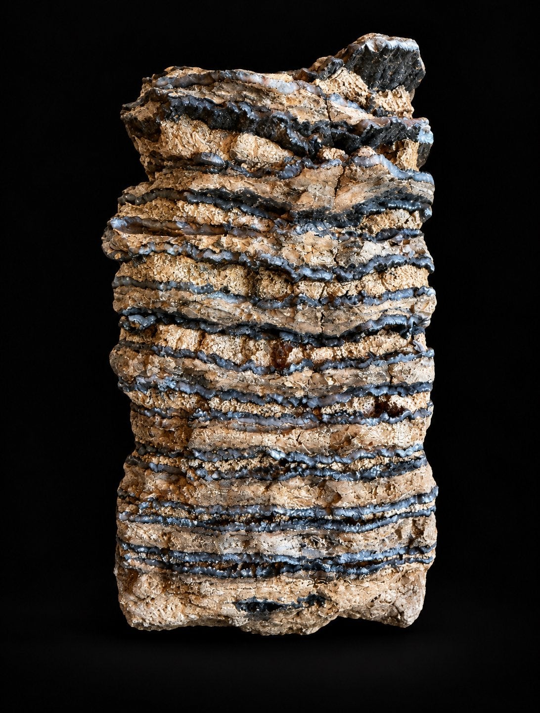 Mammouths fossiles — 1,25 kg — 15 cm, Enlèvement ou Envoi